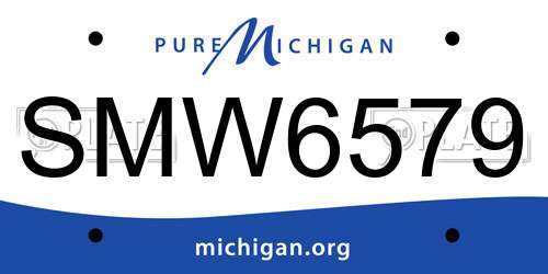 SMW6579 Michigan License Plate