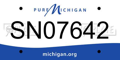 SN07642 Michigan License Plate