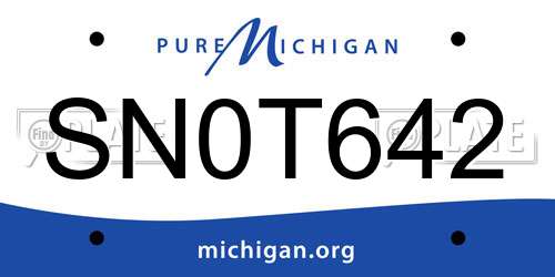 SN0T642 Michigan License Plate
