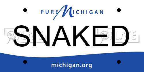 SNAKED Michigan License Plate