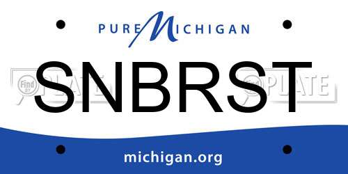 SNBRST Michigan License Plate