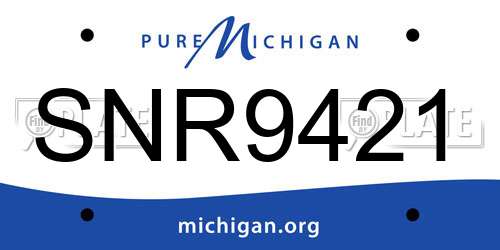 SNR9421 Michigan License Plate