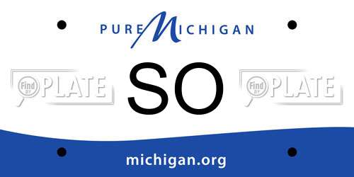 SO Michigan License Plate