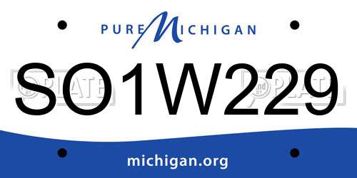 SO1W229 Michigan License Plate
