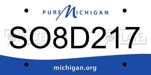 SO8D217 Michigan License Plate