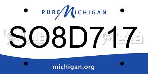 SO8D717 Michigan License Plate