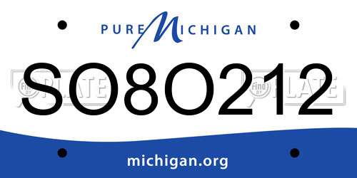 SO8O212 Michigan License Plate