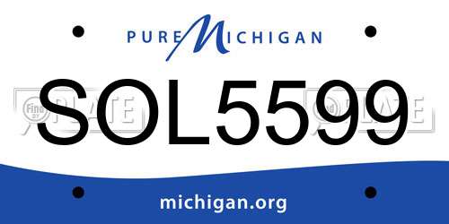 SOL5599 Michigan License Plate