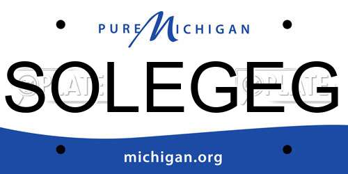 SOLEGEG Michigan License Plate