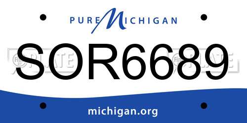 SOR6689 Michigan License Plate