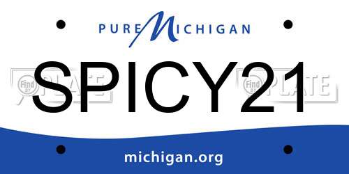 SPICY21 Michigan License Plate