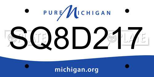 SQ8D217 Michigan License Plate