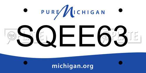 SQEE63 Michigan License Plate