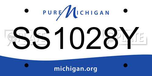 SS1028Y Michigan License Plate