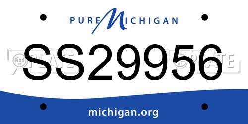 SS29956 Michigan License Plate