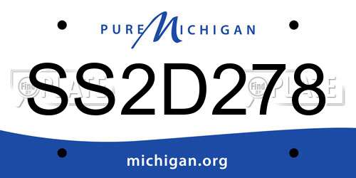 SS2D278 Michigan License Plate