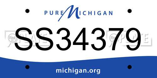 SS34379 Michigan License Plate