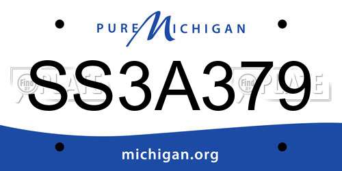 SS3A379 Michigan License Plate