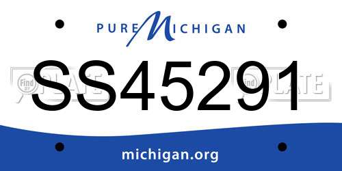 SS45291 Michigan License Plate