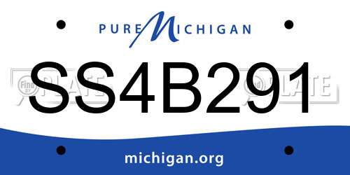 SS4B291 Michigan License Plate