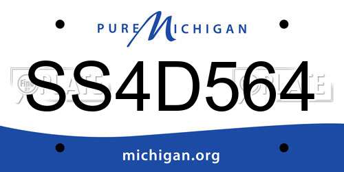 SS4D564 Michigan License Plate