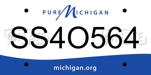 SS4O564 Michigan License Plate