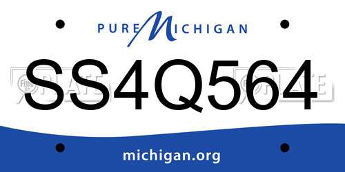SS4Q564 Michigan License Plate