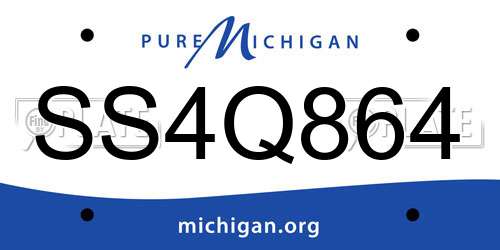 SS4Q864 Michigan License Plate