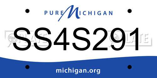 SS4S291 Michigan License Plate