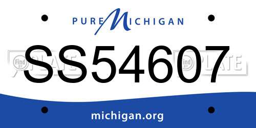 SS54607 Michigan License Plate