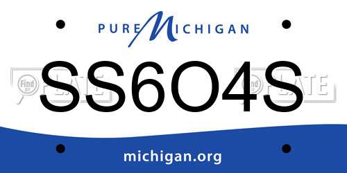 SS6O4S Michigan License Plate