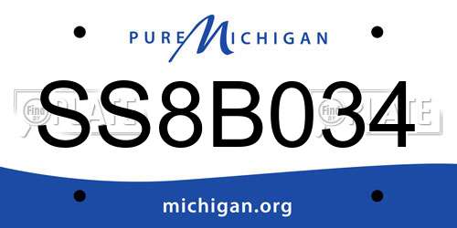 SS8B034 Michigan License Plate