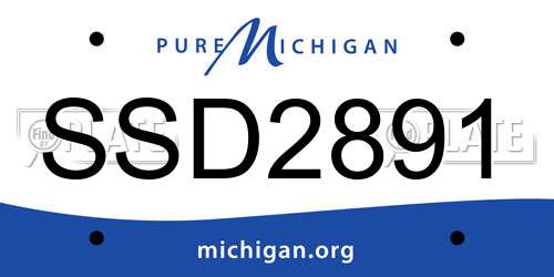 SSD2891 Michigan License Plate