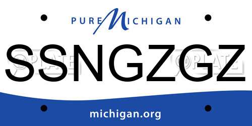 SSNGZGZ Michigan License Plate