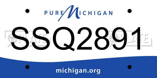 SSQ2891 Michigan License Plate
