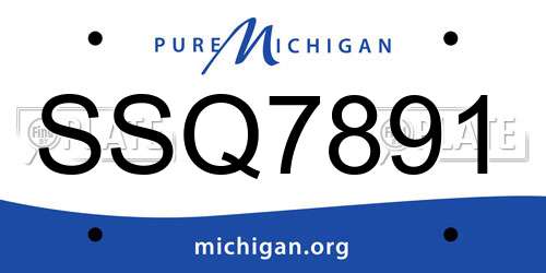 SSQ7891 Michigan License Plate
