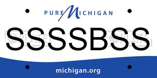 SSSSBSS Michigan License Plate