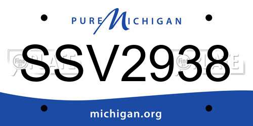 SSV2938 Michigan License Plate