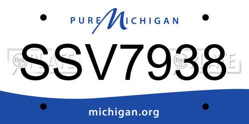 SSV7938 Michigan License Plate