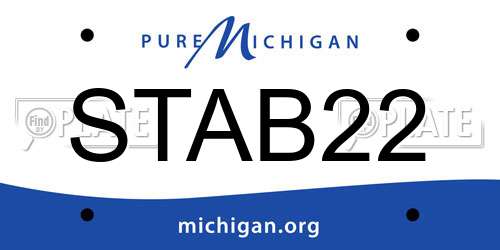 STAB22 Michigan License Plate