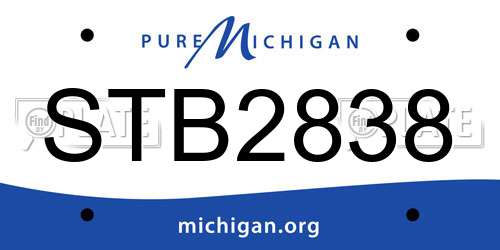 STB2838 Michigan License Plate