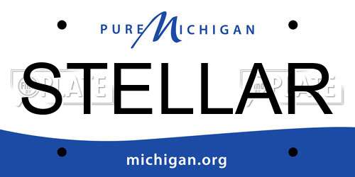 STELLAR Michigan License Plate