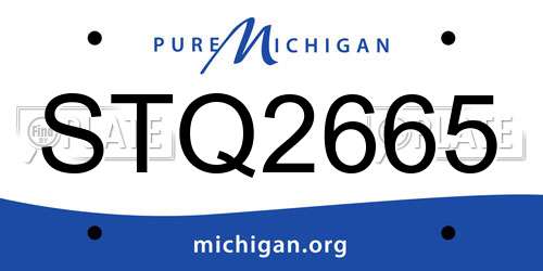 STQ2665 Michigan License Plate