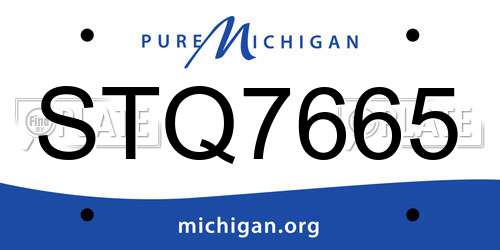 STQ7665 Michigan License Plate