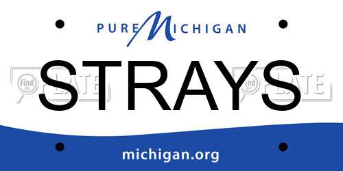 STRAYS Michigan License Plate
