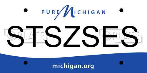 STSZSES Michigan License Plate