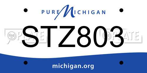 STZ803 Michigan License Plate