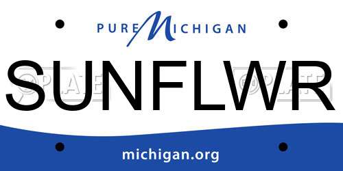 SUNFLWR Michigan License Plate