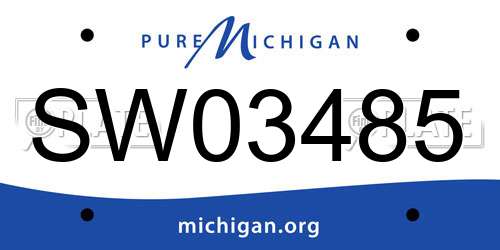 SW03485 Michigan License Plate
