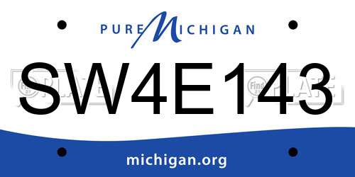 SW4E143 Michigan License Plate